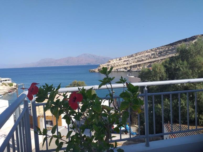 Alexandra's House Apartment Matala (Crete)